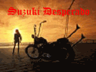Suzuki Desperado -    